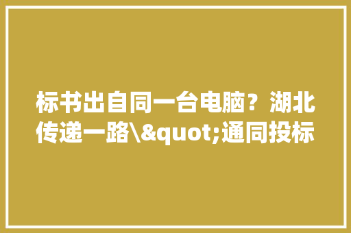 标书出自同一台电脑？湖北传递一路\"通同投标\"范例案例