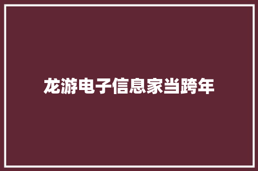 龙游电子信息家当跨年