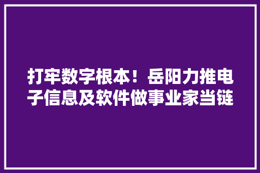 打牢数字根本！岳阳力推电子信息及软件做事业家当链转型成长