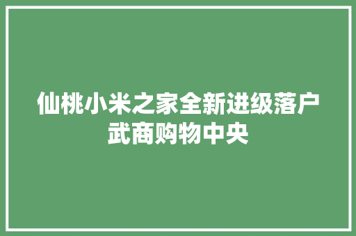 仙桃小米之家全新进级落户武商购物中央