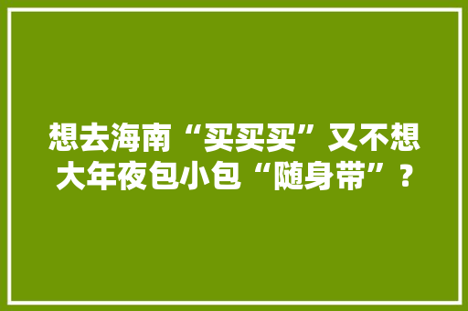 想去海南“买买买”又不想大年夜包小包“随身带”？能实现了