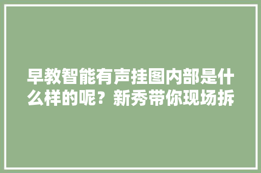 早教智能有声挂图内部是什么样的呢？新秀带你现场拆解揭秘