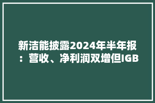 新洁能披露2024年半年报：营收、净利润双增但IGBT收入同比下降
