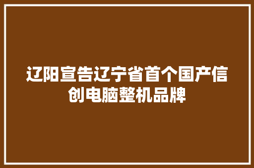 辽阳宣告辽宁省首个国产信创电脑整机品牌