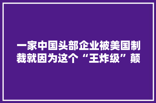 一家中国头部企业被美国制裁就因为这个“王炸级”颠覆性技能！太赫兹有多牛？