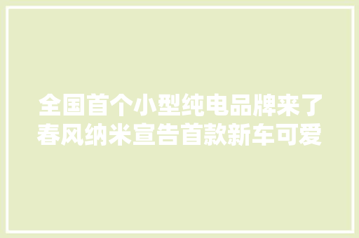 全国首个小型纯电品牌来了春风纳米宣告首款新车可爱且有趣