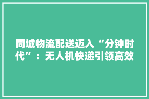同城物流配送迈入“分钟时代”：无人机快递引领高效物流新纪元