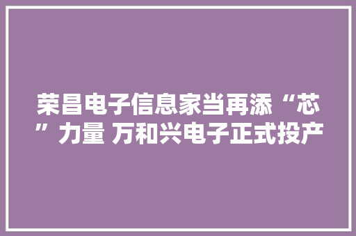 荣昌电子信息家当再添“芯”力量 万和兴电子正式投产