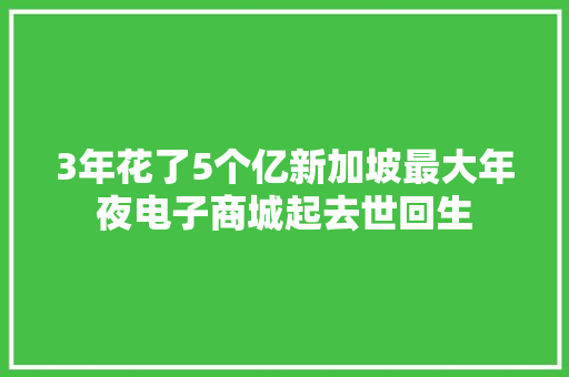 3年花了5个亿新加坡最大年夜电子商城起去世回生