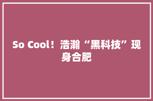 So Cool！浩瀚“黑科技”现身合肥