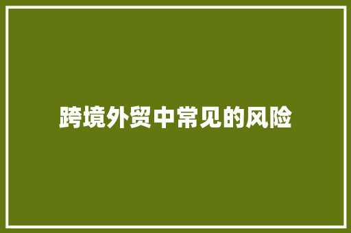 跨境外贸中常见的风险