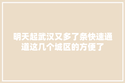 明天起武汉又多了条快速通道这几个城区的方便了
