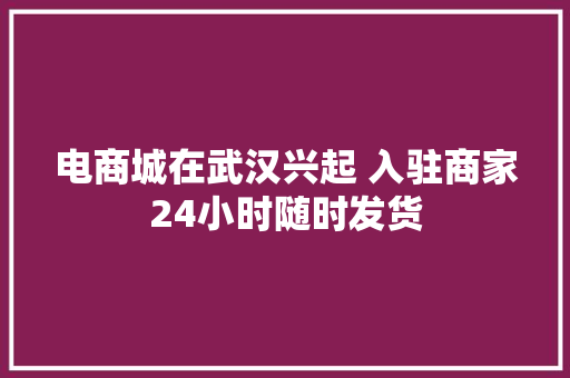 电商城在武汉兴起 入驻商家24小时随时发货