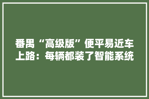 番禺“高级版”便平易近车上路：每辆都装了智能系统
