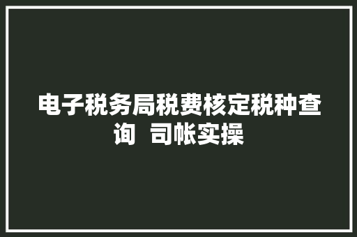 电子税务局税费核定税种查询  司帐实操