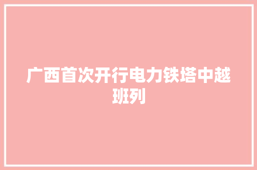 广西首次开行电力铁塔中越班列