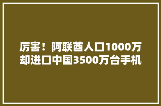 厉害！阿联酋人口1000万却进口中国3500万台手机、平板、笔记本