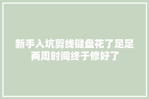 新手入坑剪线键盘花了足足两周时间终于修好了