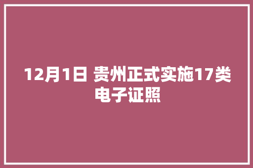 12月1日 贵州正式实施17类电子证照