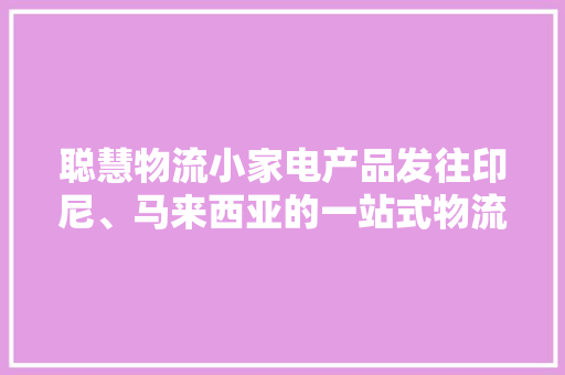 聪慧物流小家电产品发往印尼、马来西亚的一站式物流筹划