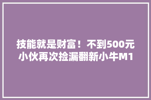 技能就是财富！不到500元小伙再次捡漏翻新小牛M1