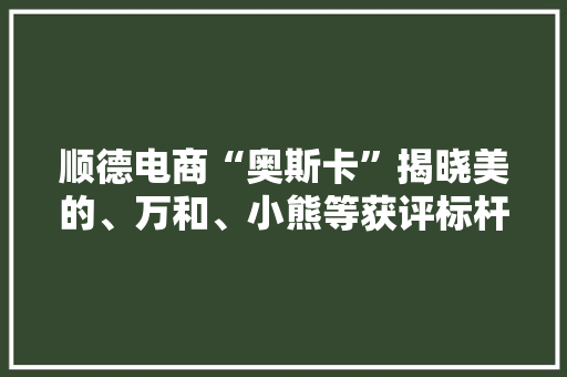 顺德电商“奥斯卡”揭晓美的、万和、小熊等获评标杆企业
