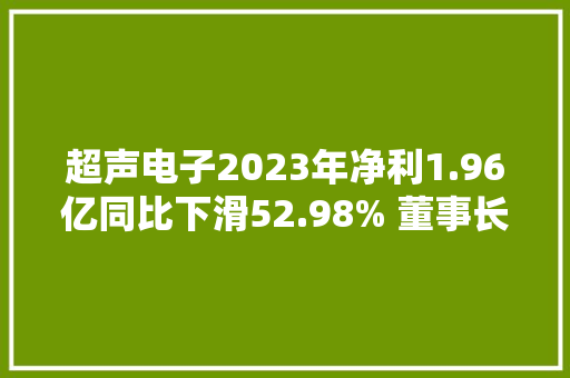 超声电子2023年净利1.96亿同比下滑52.98% 董事长莫翊斌薪酬185.87万
