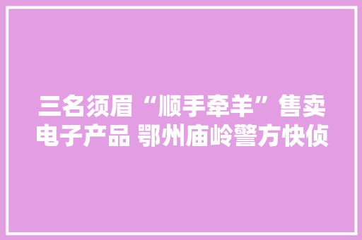 三名须眉“顺手牵羊”售卖电子产品 鄂州庙岭警方快侦快破48小时追赃挽损