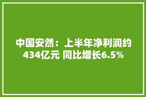 中国安然：上半年净利润约434亿元 同比增长6.5%