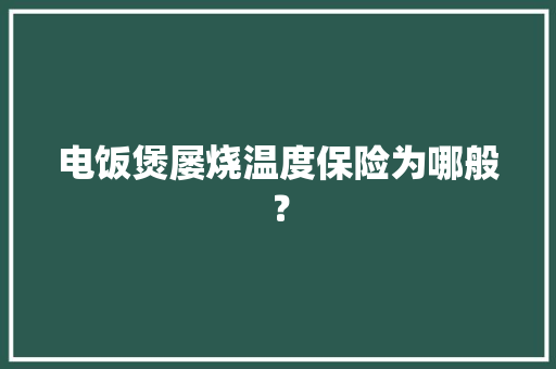 电饭煲屡烧温度保险为哪般？