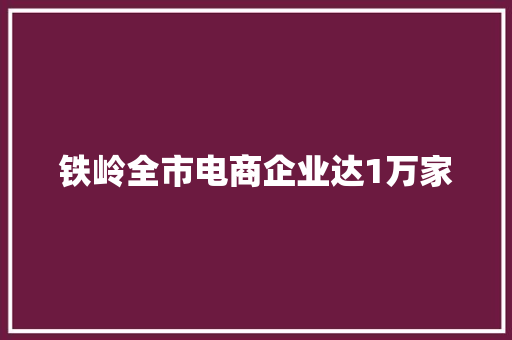 铁岭全市电商企业达1万家