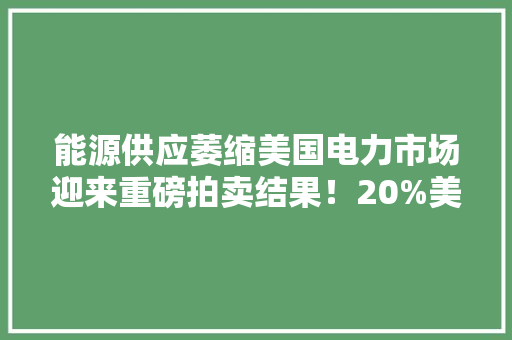 能源供应萎缩美国电力市场迎来重磅拍卖结果！20%美国人面临电价飙涨： 专家称或涨4倍