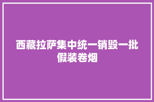 西藏拉萨集中统一销毁一批假装卷烟