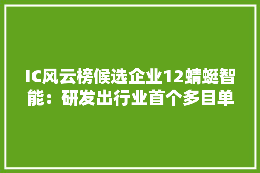 IC风云榜候选企业12蜻蜓智能：研发出行业首个多目单芯片