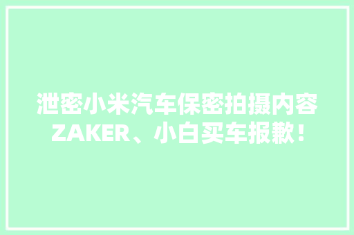 泄密小米汽车保密拍摄内容ZAKER、小白买车报歉！