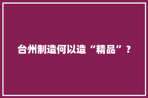 台州制造何以造“精品”？