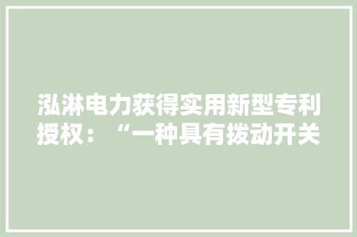 泓淋电力获得实用新型专利授权：“一种具有拨动开关的插板”