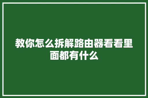教你怎么拆解路由器看看里面都有什么