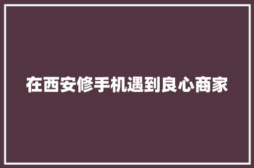 在西安修手机遇到良心商家