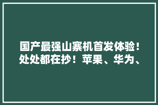 国产最强山寨机首发体验！处处都在抄！苹果、华为、小米看完都沉默了……