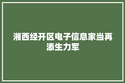 湘西经开区电子信息家当再添生力军