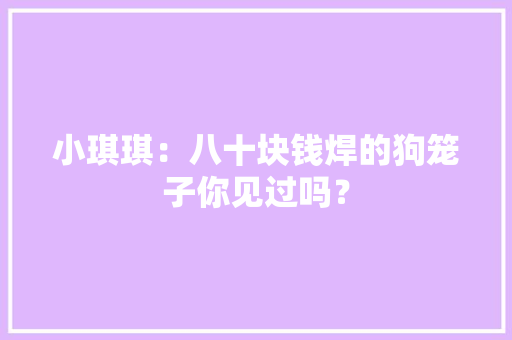 小琪琪：八十块钱焊的狗笼子你见过吗？