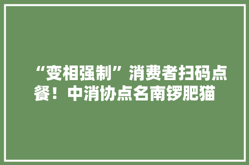 “变相强制”消费者扫码点餐！中消协点名南锣肥猫