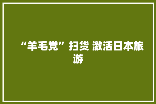 “羊毛党”扫货 激活日本旅游