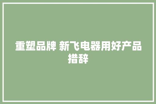 重塑品牌 新飞电器用好产品措辞