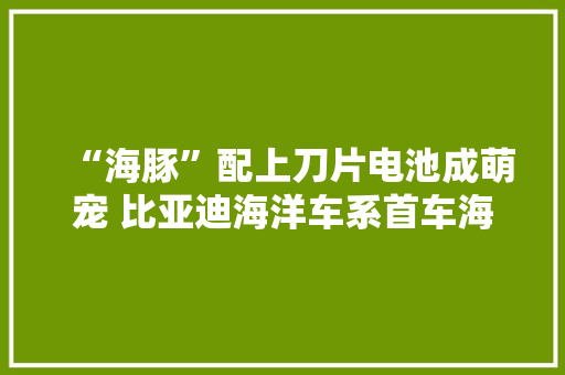 “海豚”配上刀片电池成萌宠 比亚迪海洋车系首车海豚由比亚迪长沙工厂分娩