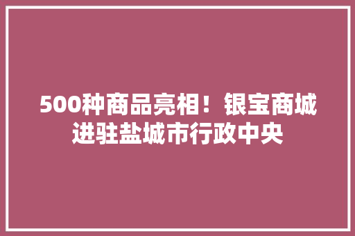 500种商品亮相！银宝商城进驻盐城市行政中央