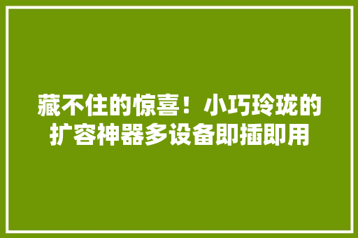 藏不住的惊喜！小巧玲珑的扩容神器多设备即插即用