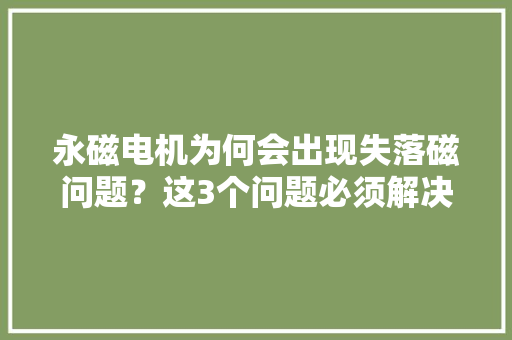 永磁电机为何会出现失落磁问题？这3个问题必须解决好