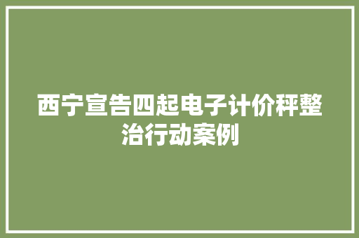 西宁宣告四起电子计价秤整治行动案例